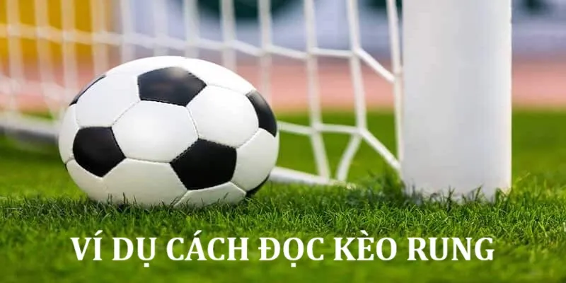 Tìm hiểu ví dụ cụ thể về cách đọc kèo rung&nbsp;